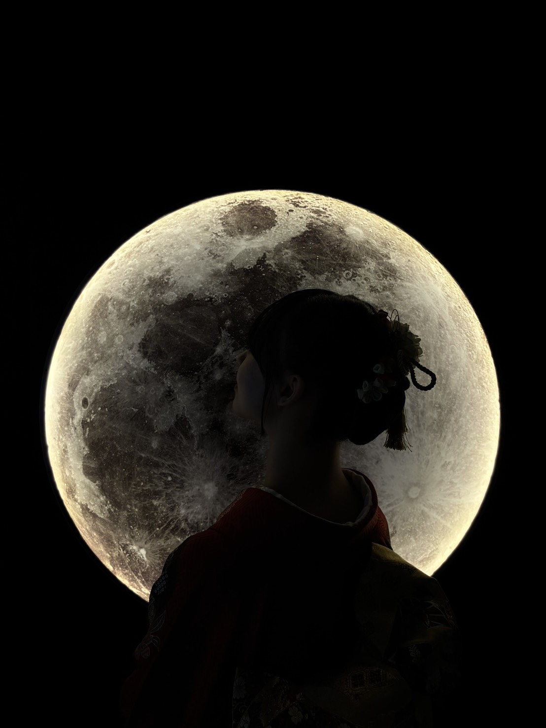 月のシルエット